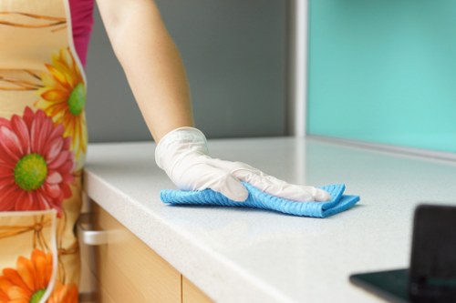 Cleaning products and tools used for professional carpet care