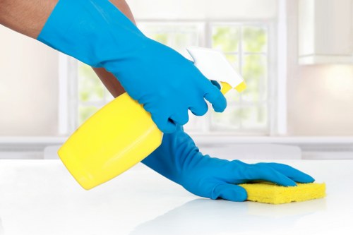 Deep cleaning of an oven door and interior in a local London home