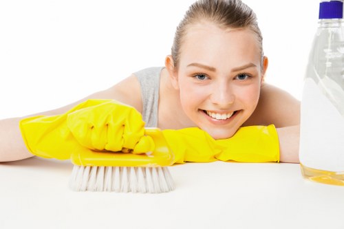 Carpet and soft furnishing cleaning arranged together