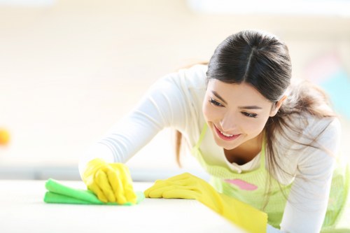 A professional cleaner handling a deep clean in an NW5 flat