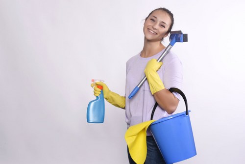 One-time cleaning support for a flat near Tufnell Park