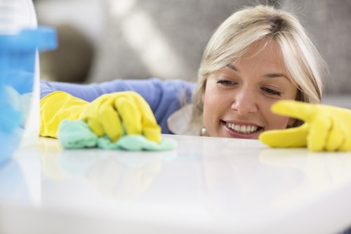 Regular home cleaning in a flat or house across NW5