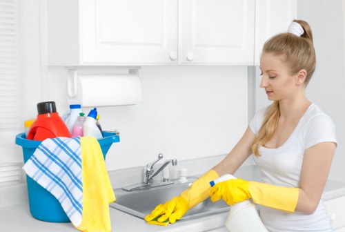 Professional domestic cleaner working in a kitchen and bathroom